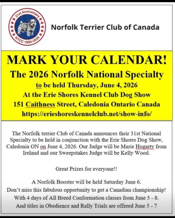 The 31st Norfolk National Specialty 2026 