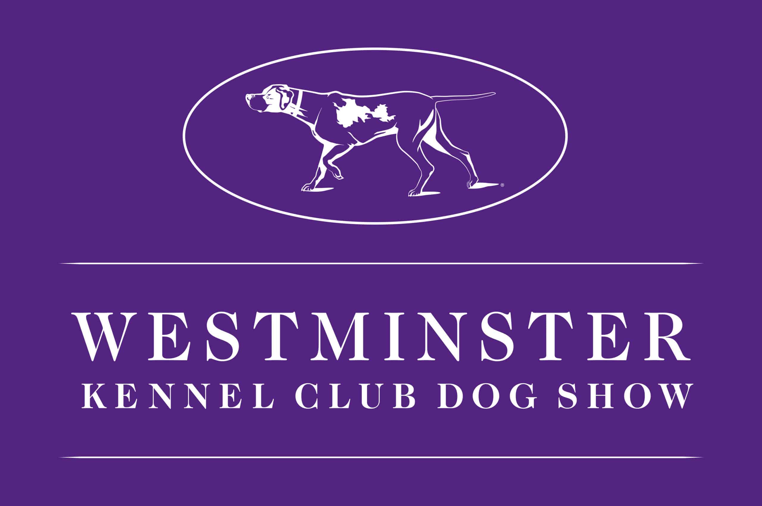 Westminster Dog Show 2026 - Norfolk Terrier Judging Details
